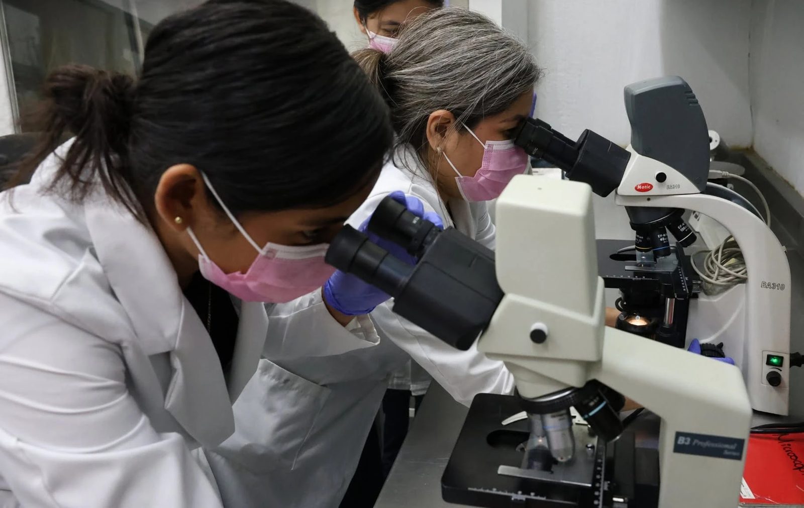 Investigadoras observando muestras al microscopio